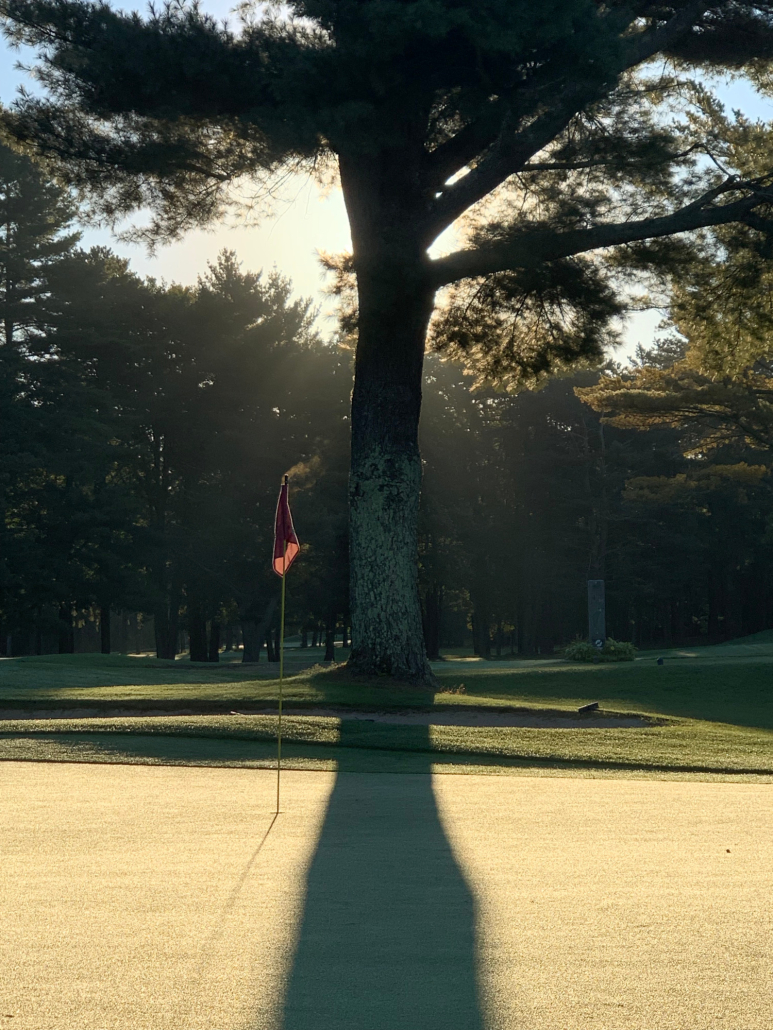 Biddeford-Saco green