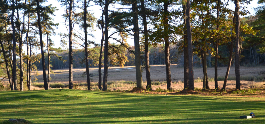 Biddeford-Saco tree-lined fairway