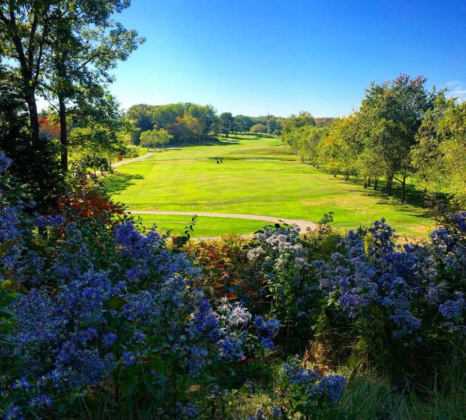 Cape Neddick flowers