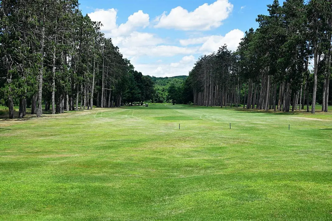 Tekoa CC tree-lined fairway
