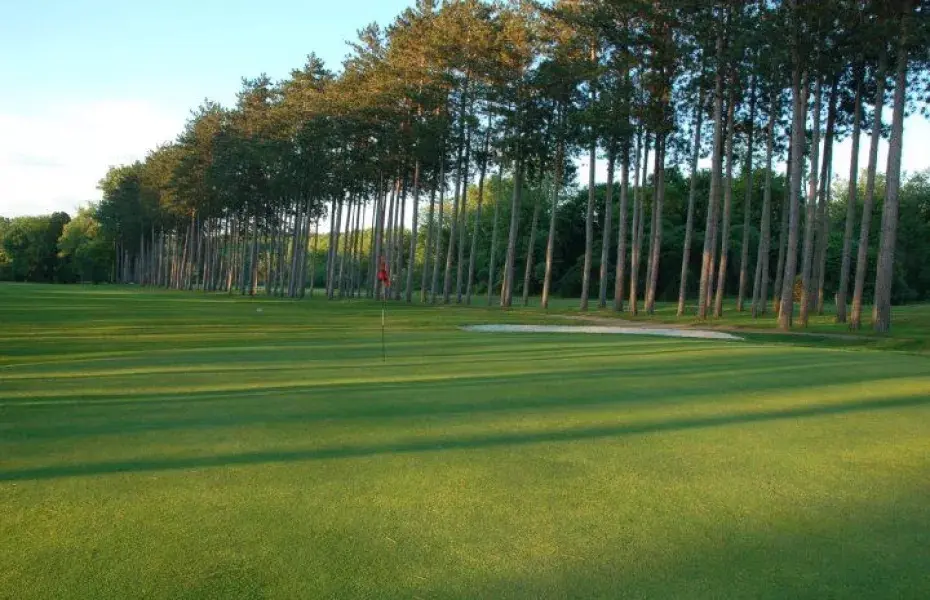 Tekoa CC signature pine tree-lined approach