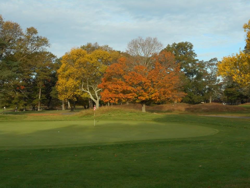 Triggs Memorial green